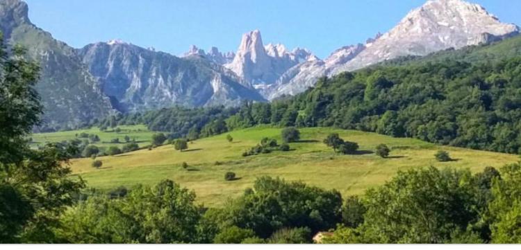 Apartamentos Mirador De Valdellera Posada De Llanes 외부 사진